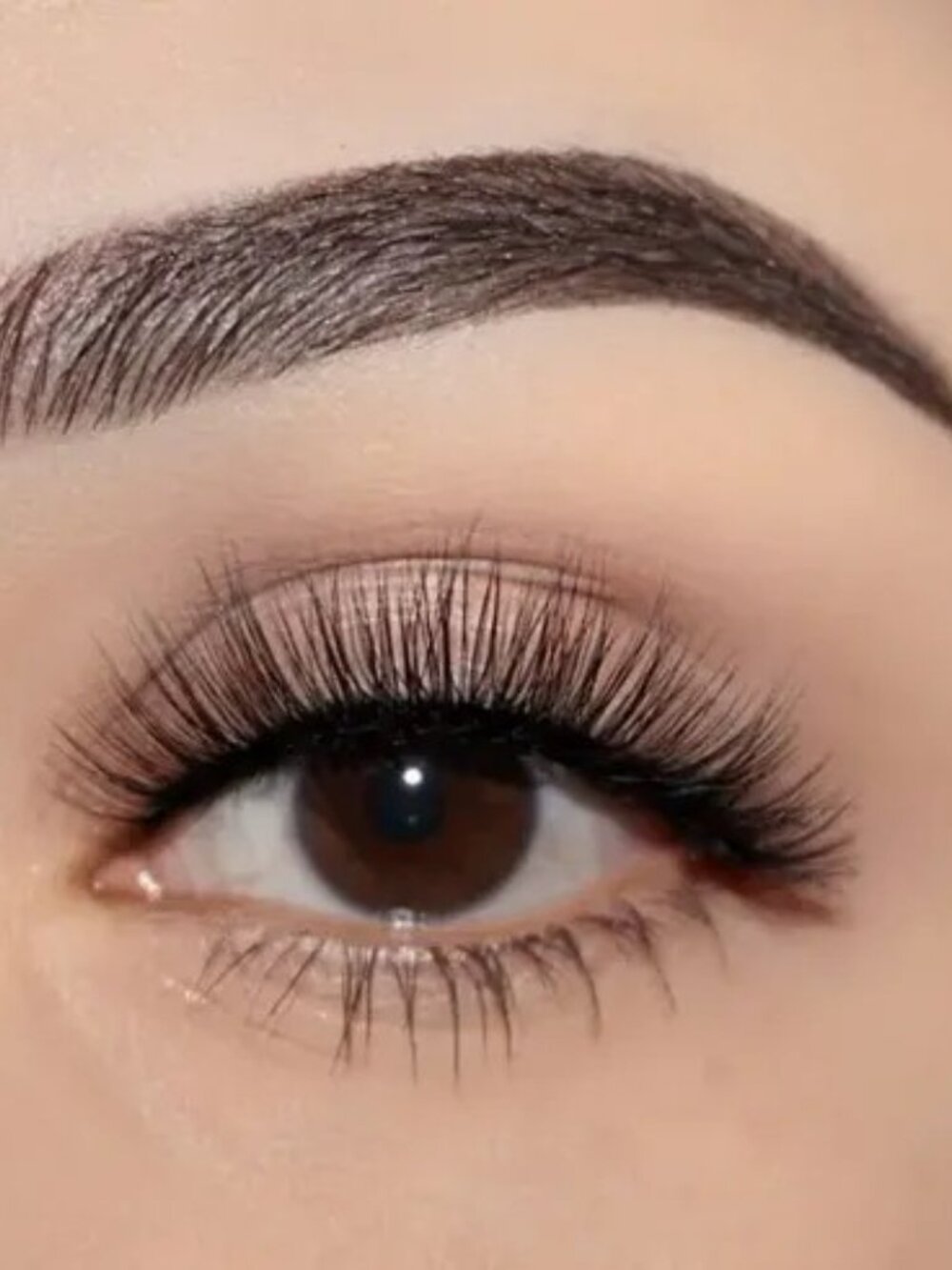 NEW *VAULTED* Colourpop Falsies Lashes in Chica